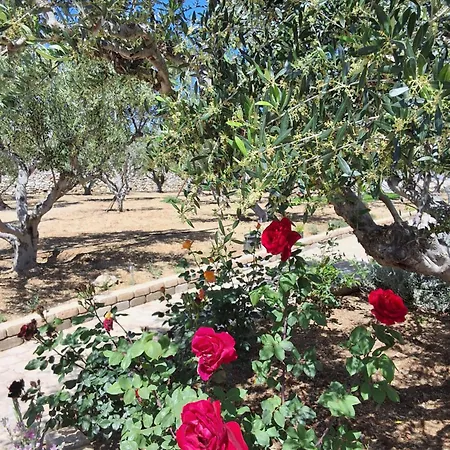 شقة Levanda Paros House