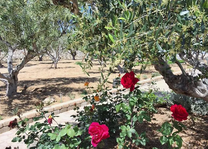 Apartamento Levanda House